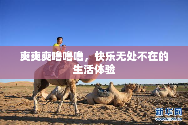 爽爽爽噜噜噜，快乐无处不在的生活体验