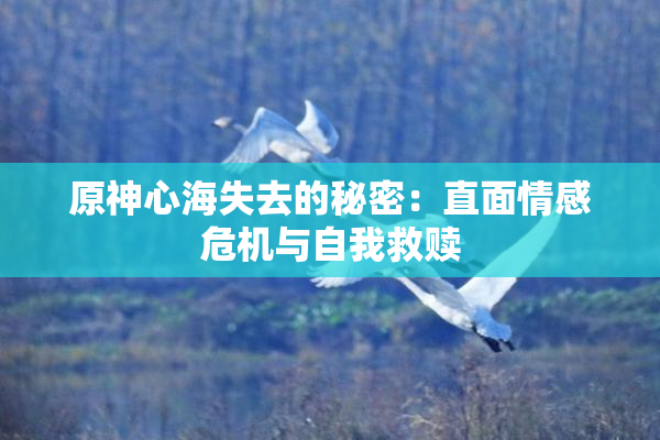 原神心海失去的秘密：直面情感危机与自我救赎