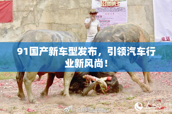 91国产新车型发布，引领汽车行业新风尚！