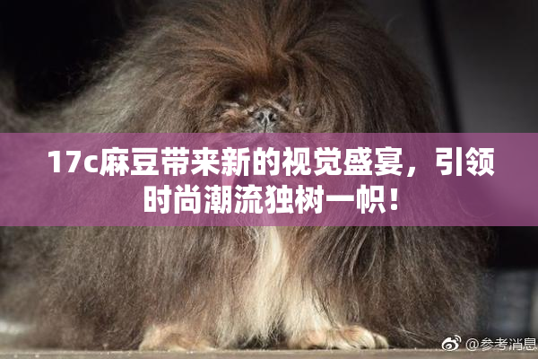 17c麻豆带来新的视觉盛宴，引领时尚潮流独树一帜！