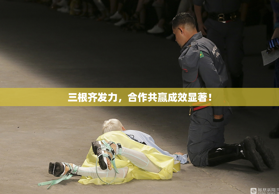 三根齐发力，合作共赢成效显著！