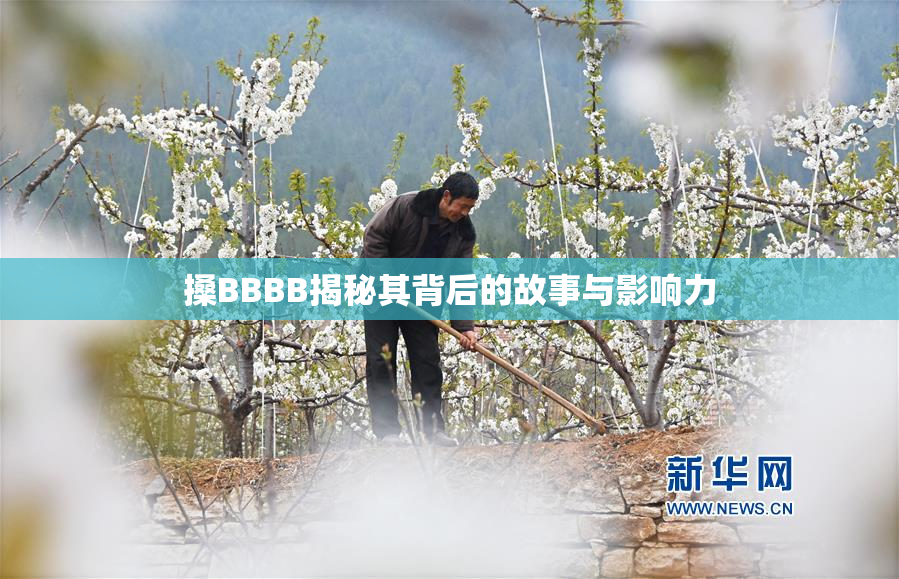 搡BBBB揭秘其背后的故事与影响力