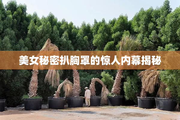 美女秘密扒胸罩的惊人内幕揭秘