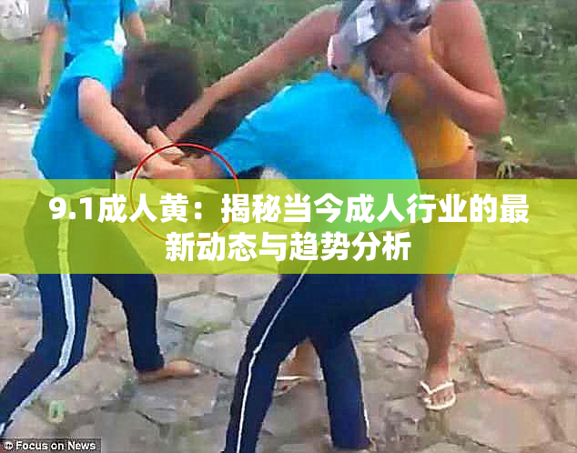 9.1成人黄：揭秘当今成人行业的最新动态与趋势分析