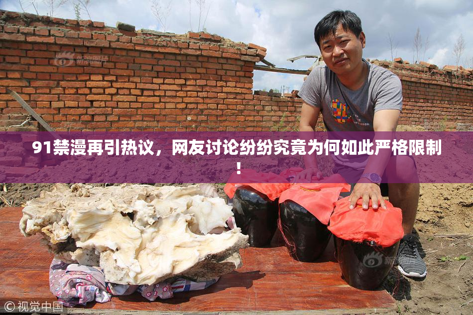 91禁漫再引热议，网友讨论纷纷究竟为何如此严格限制！