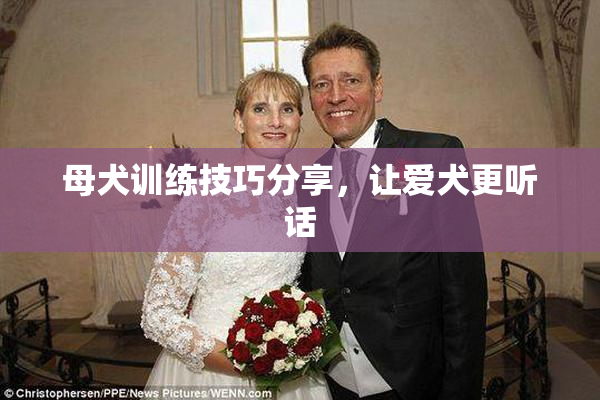 母犬训练技巧分享，让爱犬更听话