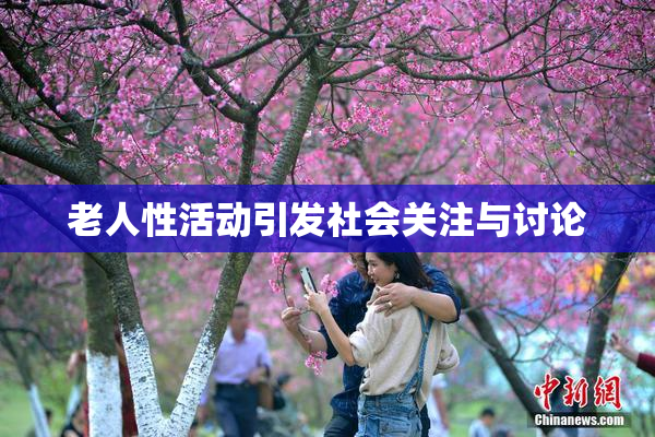老人性活动引发社会关注与讨论