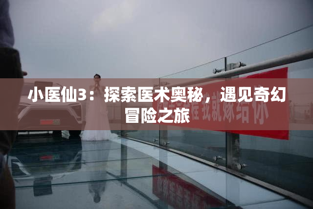 小医仙3：探索医术奥秘，遇见奇幻冒险之旅