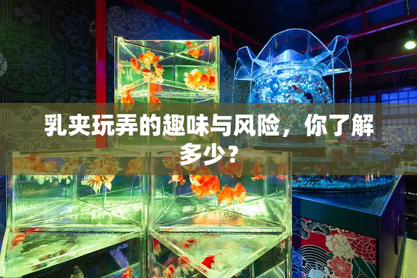 乳夹玩弄的趣味与风险，你了解多少？