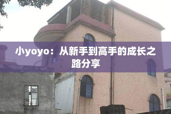 小yoyo：从新手到高手的成长之路分享