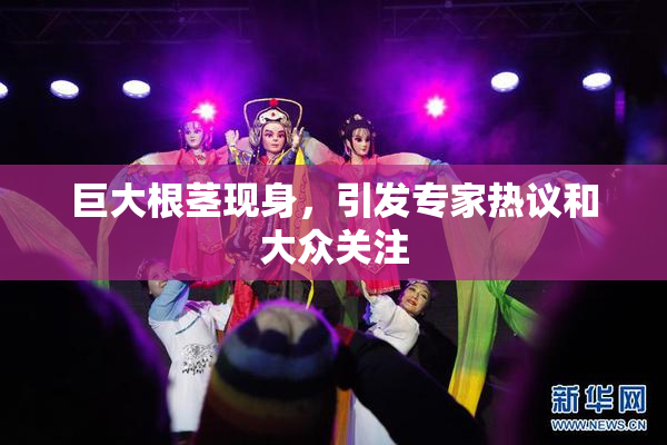 巨大根茎现身，引发专家热议和大众关注