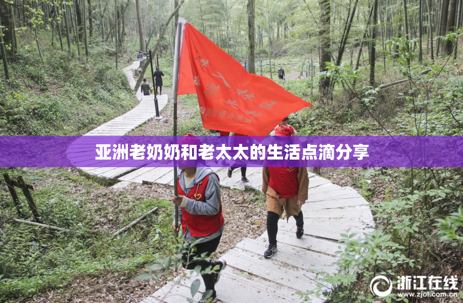 亚洲老奶奶和老太太的生活点滴分享