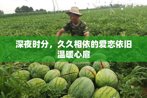 深夜时分，久久相依的爱恋依旧温暖心扉
