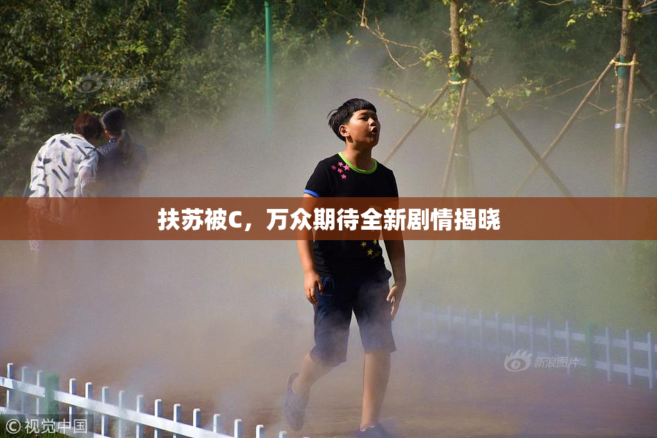 扶苏被C，万众期待全新剧情揭晓
