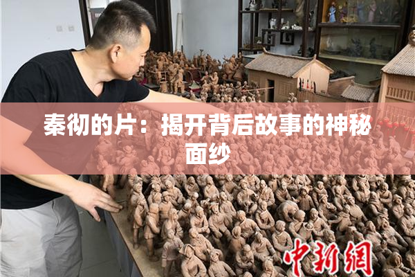 秦彻的片：揭开背后故事的神秘面纱