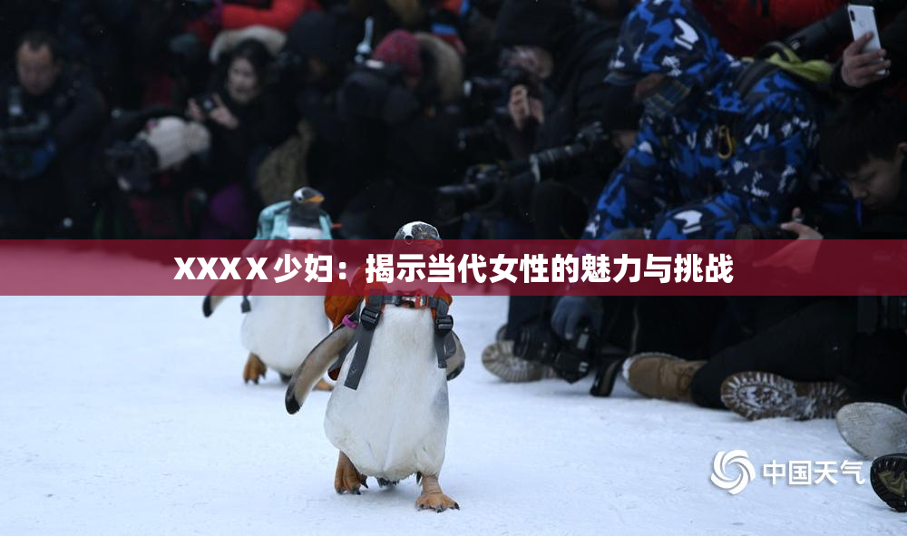 XXXⅩ少妇：揭示当代女性的魅力与挑战