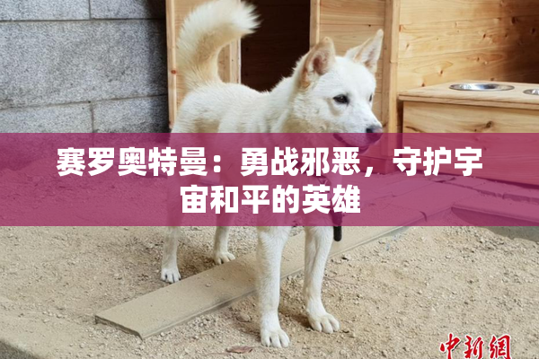 赛罗奥特曼：勇战邪恶，守护宇宙和平的英雄