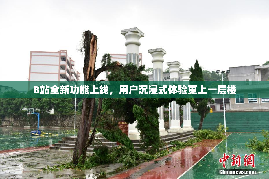 B站全新功能上线，用户沉浸式体验更上一层楼