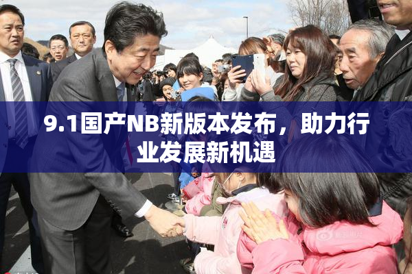 9.1国产NB新版本发布，助力行业发展新机遇