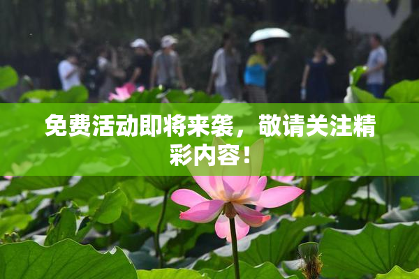 免费活动即将来袭，敬请关注精彩内容！