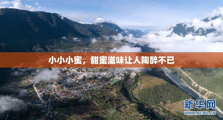 小小小蜜，甜蜜滋味让人陶醉不已