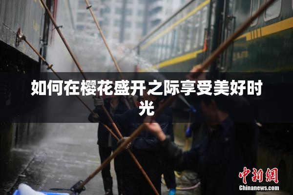 如何在樱花盛开之际享受美好时光