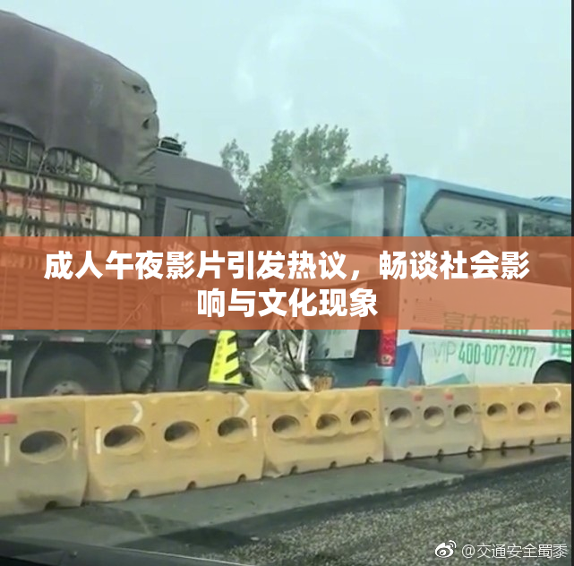 成人午夜影片引发热议，畅谈社会影响与文化现象