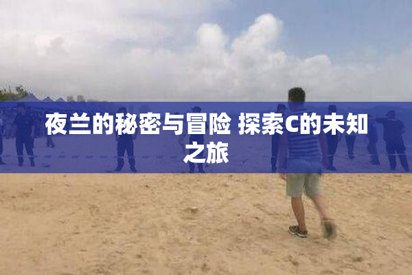 夜兰的秘密与冒险 探索C的未知之旅