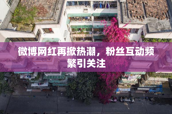 微博网红再掀热潮，粉丝互动频繁引关注