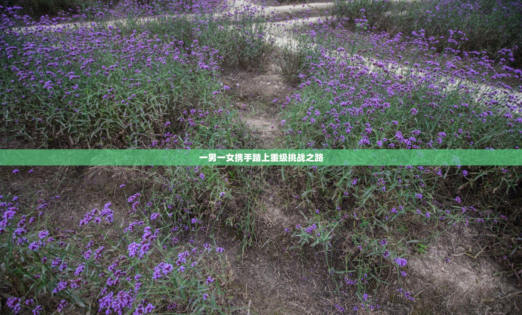 一男一女携手踏上重级挑战之路