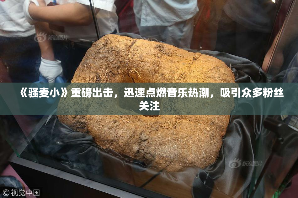 《骚麦小》重磅出击，迅速点燃音乐热潮，吸引众多粉丝关注