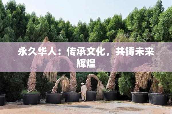 永久华人：传承文化，共铸未来辉煌