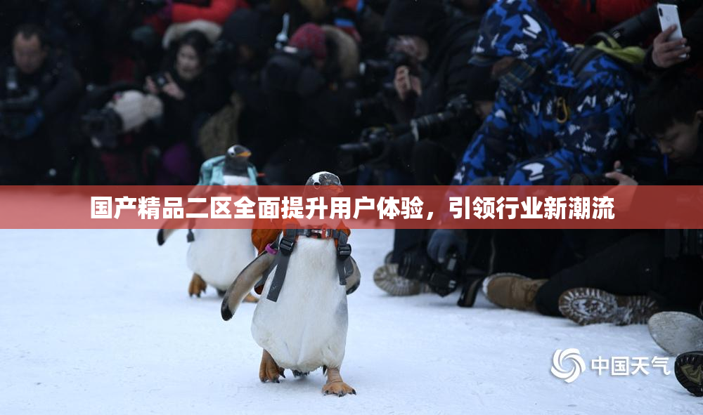 国产精品二区全面提升用户体验，引领行业新潮流