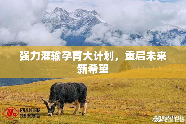 强力灌输孕育大计划，重启未来新希望