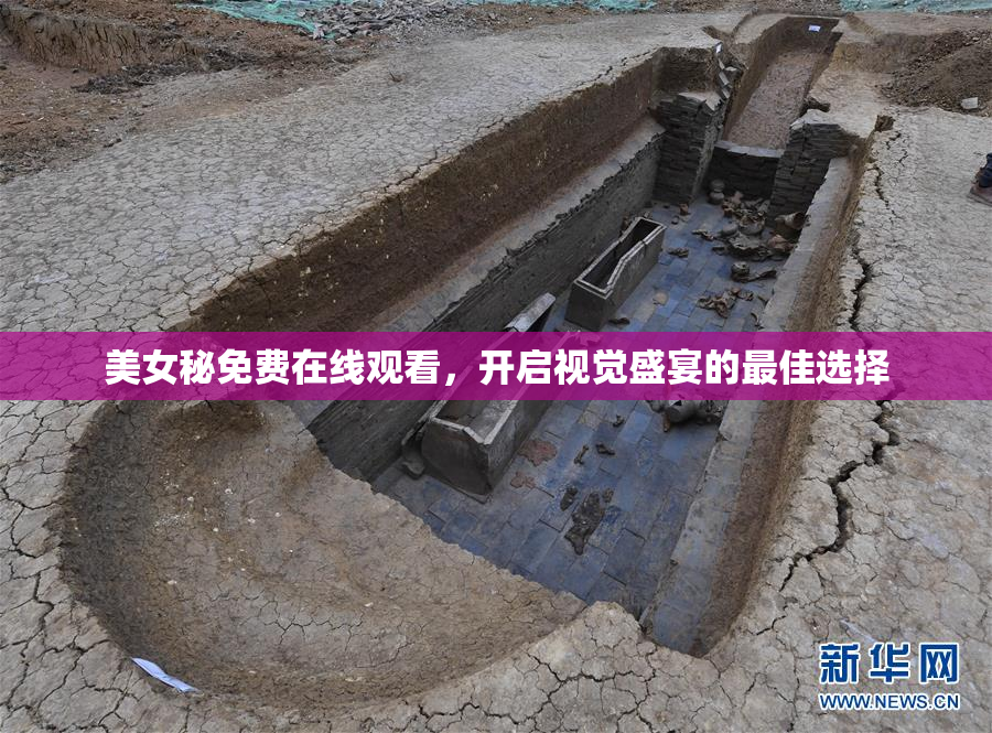 美女秘免费在线观看，开启视觉盛宴的最佳选择