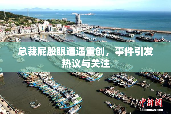 总裁屁股眼遭遇重创，事件引发热议与关注