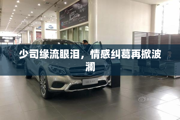 少司缘流眼泪，情感纠葛再掀波澜