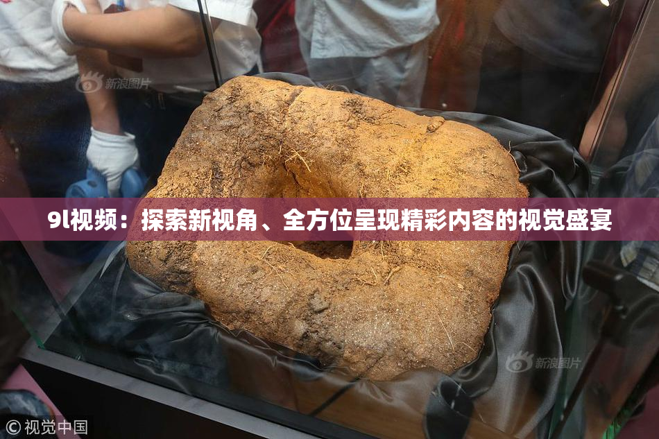 9l视频：探索新视角、全方位呈现精彩内容的视觉盛宴