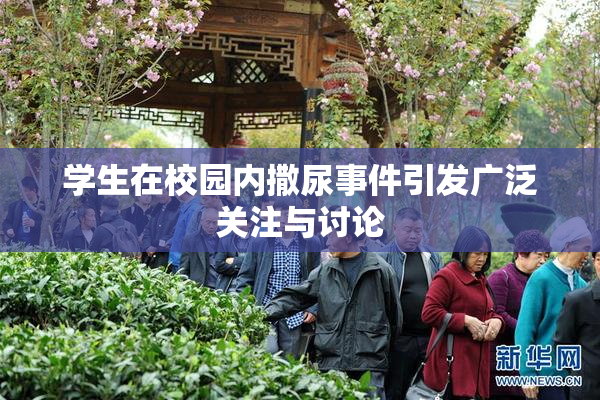 学生在校园内撒尿事件引发广泛关注与讨论