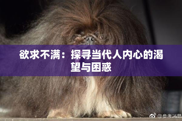 欲求不满：探寻当代人内心的渴望与困惑