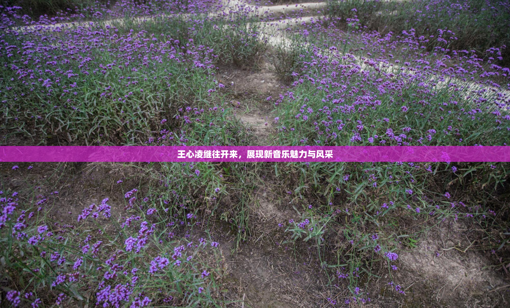 王心凌继往开来，展现新音乐魅力与风采
