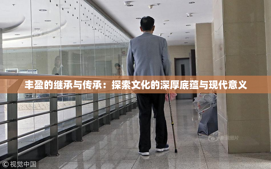 丰盈的继承与传承：探索文化的深厚底蕴与现代意义