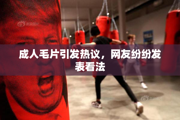 成人毛片引发热议，网友纷纷发表看法