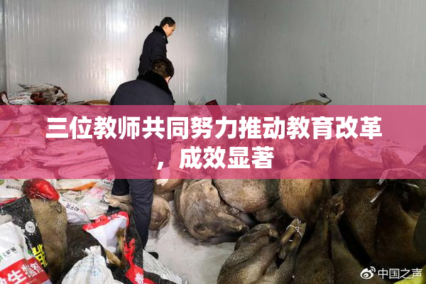 三位教师共同努力推动教育改革，成效显著