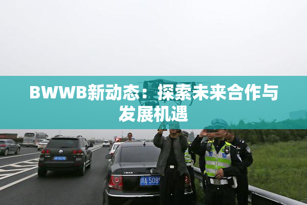 BWWB新动态：探索未来合作与发展机遇
