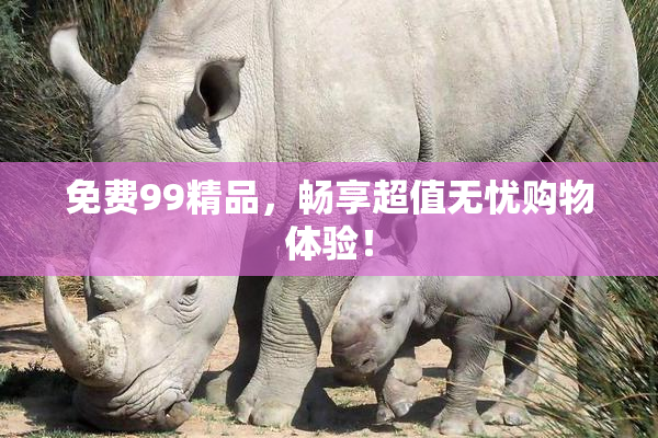 免费99精品，畅享超值无忧购物体验！