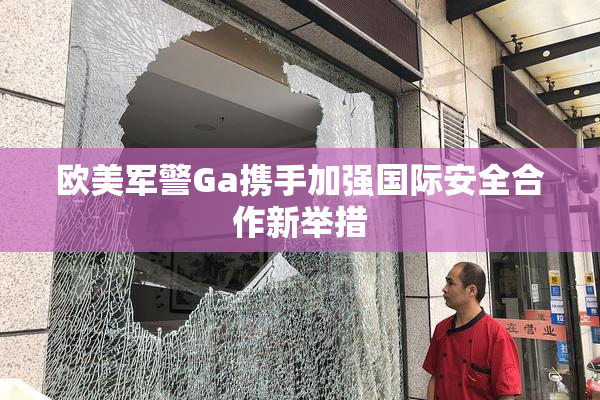 欧美军警Ga携手加强国际安全合作新举措