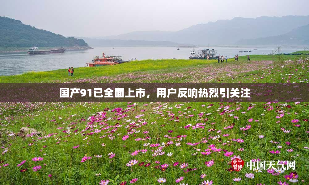 国产91已全面上市，用户反响热烈引关注