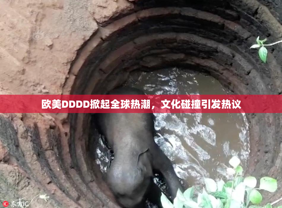 欧美DDDD掀起全球热潮，文化碰撞引发热议
