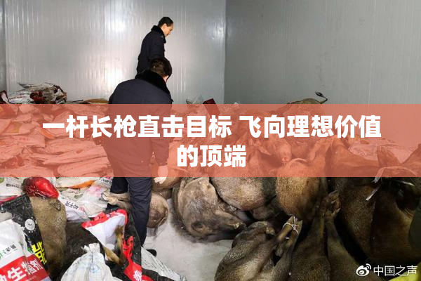一杆长枪直击目标 飞向理想价值的顶端